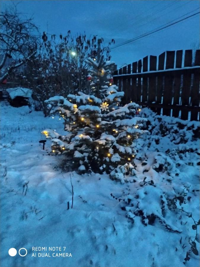 Котедж Кресаня 米库利钦 外观 照片